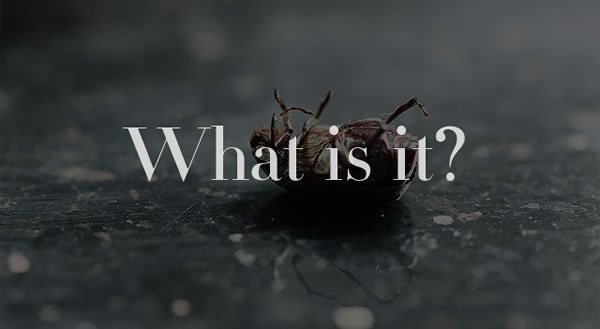 原創(chuàng)文章寫作，原來就那么點兒事 好文分享 第2張