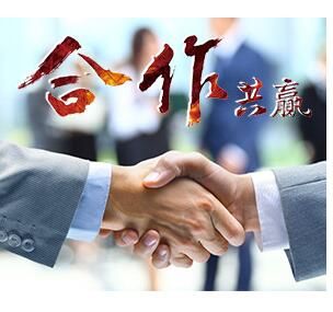 企業(yè)網(wǎng)站優(yōu)化推廣工作怎么執(zhí)行