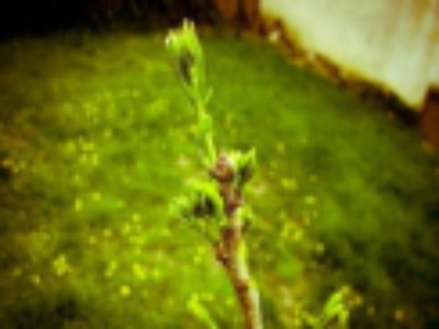 高端網(wǎng)站建設(shè)